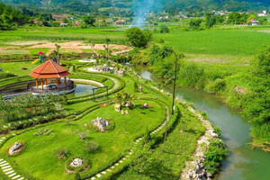 Cuối tuần này đi đâu: Trải nghiệm homestay "đẹp mê ly" giá cực "mềm" tại Mộc Châu