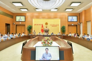 Ngành năng lượng có bước phát triển nhanh, tương đối đồng bộ