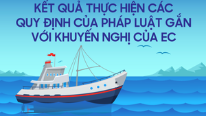 Infographics: Kết quả thực hiện các quy định chống khai thác IUU