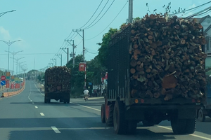 Bình Dương thí điểm phạt nguội xe quá tải trọng