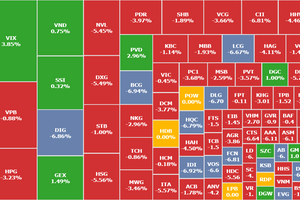 Cổ phiếu mid-largecap ngoài rổ VN30 lại bị bán mạnh, VN-Index giảm thêm 18 điểm