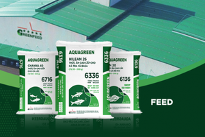 GreenFeed báo lỗ 19 tỷ đồng, nợ phải trả gấp rưỡi vốn chủ sở hữu lên 5.500 tỷ đồng