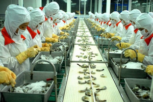 Thực phẩm Sao Ta (FMC) báo lãi quý 3 cao nhất trong 5 quý gần đây