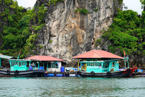 Ảnh hưởng bão số 5, Quảng Ninh tạm dừng các phương tiện thuỷ ra khơi