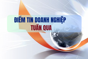 Điểm tin doanh nghiệp tuần qua: Vinfast, Hòa Bình (HBC), đại gia phố núi một thời... là tiêu điểm