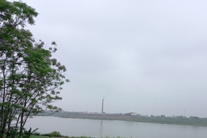 Trình tự pháp lý chặt chẽ nhất khi mua đất nông nghiệp không sổ đỏ tránh bị sập bẫy 'cò mồi'