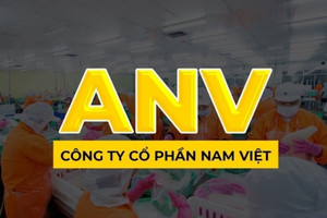 Nam Việt (ANV) báo lãi bốc hơi 99% trong quý 3, cổ phiếu vẫn được săn đón