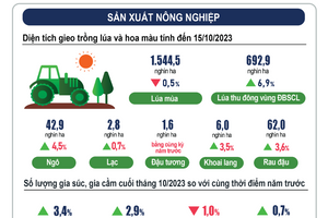 INFOGRAPHIC tình hình kinh tế - xã hội tháng 10 và 10 tháng năm 2023
