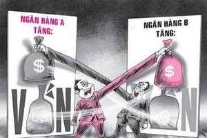 Ma trận sở hữu chéo vẫn là vấn đề nhức nhối nhất