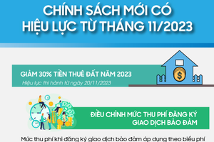 Infographics: Những chính sách mới có hiệu lực từ tháng 11 năm 2023