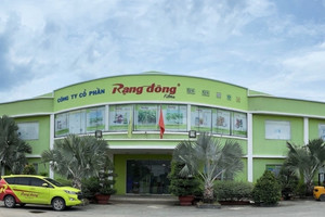 Lãi đậm quý 3, Rạng Đông Holding (RDP) muốn tăng sở hữu tại hai công ty con