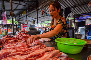 Thứ trưởng Phùng Đức Tiến: Tết không thiếu thịt lợn, gà nhưng giá chắc chắn tăng