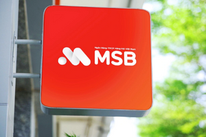 MSB nhận khoản vay dài hạn 100 triệu USD từ Ngân hàng Hà Lan cho các dự án xanh