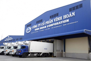 Vĩnh Hoàn (VHC) xin chậm nộp BCTC quý 3/2023 - vì sao UBCKNN không chấp thuận?