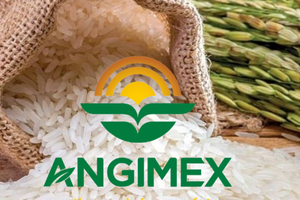 Bị kiểm toán nghi ngờ năng lực, Angimex (AGM) vẫn đặt kế hoạch năm 2024 doanh thu gấp 3,5 lần