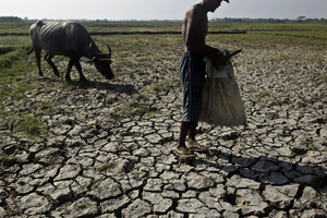 90% hiện tượng El Nino kéo dài ít nhất đến tháng 4/2024