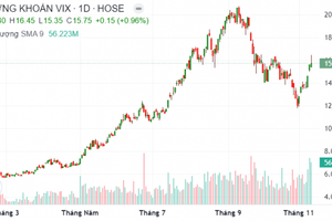 Cổ phiếu VIX tăng 31% sau 8 phiên