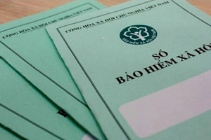 Không đóng bảo hiểm cho 83 nhân viên, một công ty xây dựng bị phạt nặng