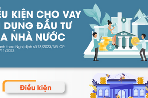 Infographics: Điều kiện cho vay tín dụng đầu tư của Nhà nước