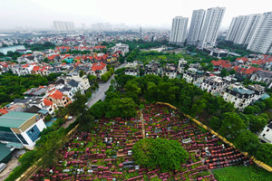 Sắp xây loạt trường công ở điểm nóng Hoàng Mai; mua đất 10 năm chưa được xây nhà