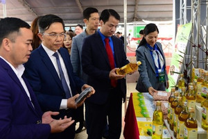 Tận dụng lợi thế sàn thương mại điện tử để chủ động tìm đầu ra cho nông sản