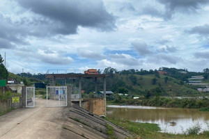 23ha đất rừng "không cánh mà bay", dự án thủy điện đối mặt với nguy cơ dừng hoạt động