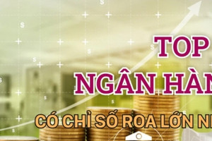 Những ngân hàng có ROA cao nhất 9 tháng đầu năm 2023: Bất ngờ không có Big4 nào lọt Top 5