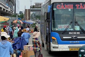 Sở GTVT TP.HCM: Người hoạt động vận tải ô tô cần có chứng chỉ chuyên ngành