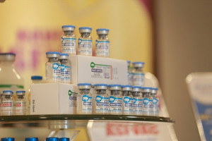 Dịch tả lợn châu Phi lan rộng: cơ hội vàng cho các doanh nghiệp sản xuất vaccine