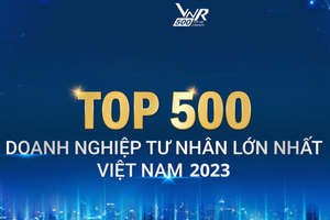 Top 500 doanh nghiệp tư nhân lớn nhất Việt Nam: TOP 5 biến động, Digiworld ghi dấu ấn khi vọt 118 bậc sau 5 năm