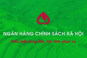 Ngân hàng Chính sách Xã hội áp dụng sai lãi suất, cho vay chồng chéo tại 7 chi nhánh