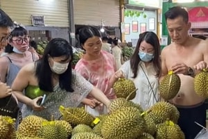 ‘Chiếc bánh’ sầu riêng 20 tỷ USD: 4 nước chia phần, ưu thế nổi trội của Việt Nam