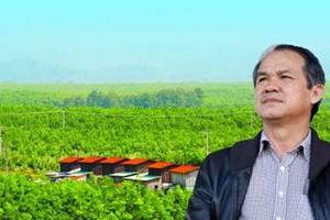 Cổ phiếu Hoàng Anh Gia Lai của Bầu Đức ngược dòng, bất động sản giảm sâu