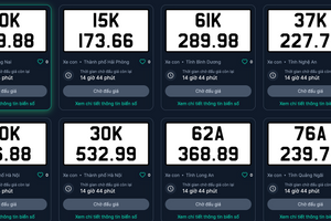 Đấu giá biển số chiều 23/11: Biển 30K - 525.66 giá cao nhất 360 triệu đồng