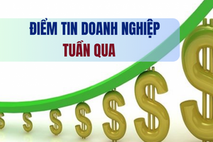 Điểm tin doanh nghiệp tuần qua: Truy tố vụ Vạn Thịnh Phát, Tân Hoàng Minh và nhà Trần Quí Thanh