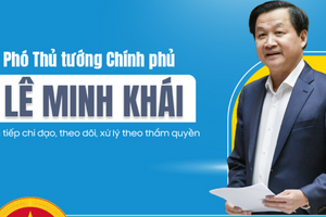 Infographics: Giải pháp thúc đẩy phát triển thị trường TPDN, BĐS hiệu quả, an toàn, lành mạnh