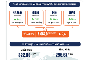 Infographic tình hình kinh tế - xã hội tháng 11 năm 2023