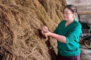 Trồng 'cây làm giàu', người dân Thanh Hoá lâm cảnh nợ nần