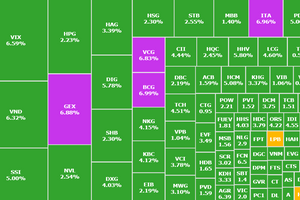 Cổ phiếu midcap đồng loạt tăng trần, VN-Index trở lại mốc 1.120