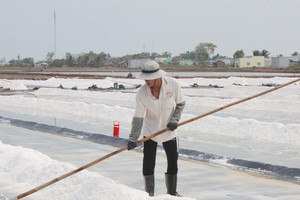 Bạc Liêu quy hoạch hơn 1.600ha làm muối