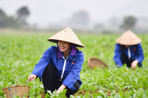 Khát khao thay đổi nông nghiệp, nông dân và nông thôn thời kỳ mới