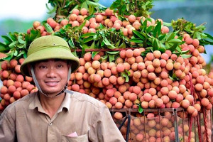 Hiểu thị trường Trung Quốc để xuất khẩu bền vững