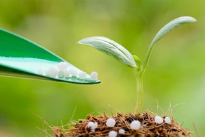 Một doanh nghiệp ngành phân bón chốt quyền tạm ứng cổ tức đợt 1/2023