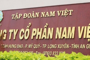 Nam Việt (NAV) ước tính lợi nhuận cả năm 2023 vượt 55% kế hoạch