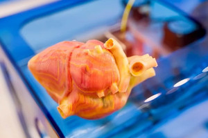 In 3D trực tiếp trên cơ thể sống có thể là cuộc cách mạng trong khoa học và y tế