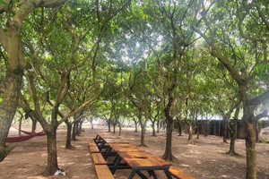 Khu vui chơi nằm kế bên sông Hồng: Từng bị yêu cầu chấm dứt nhưng vẫn ngang nghiên hoạt động