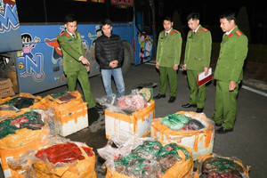 Thu giữ 10 tấn nầm lợn và nội tạng không rõ nguồn gốc