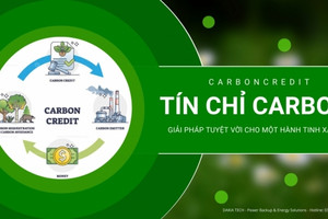 Bất ngờ một địa phương lần đầu tiên nhận 82,4 tỷ đồng từ bán tín chỉ carbon