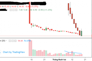 Doanh nghiệp lớn đưa cổ phiếu lên sàn, giá bốc hơi 40-70% sau hơn 1 tháng