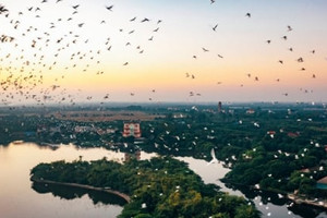 Hòn đảo huyền tích cách Hà Nội 70km, là 'viên ngọc quý' nuôi dưỡng trên 26.000 cá thể cò và chim quý, khung cảnh chiều chiều lãng mạn tựa trời Âu